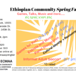 Spring Fair Flier