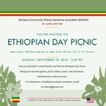 Ethipian Day Picnic